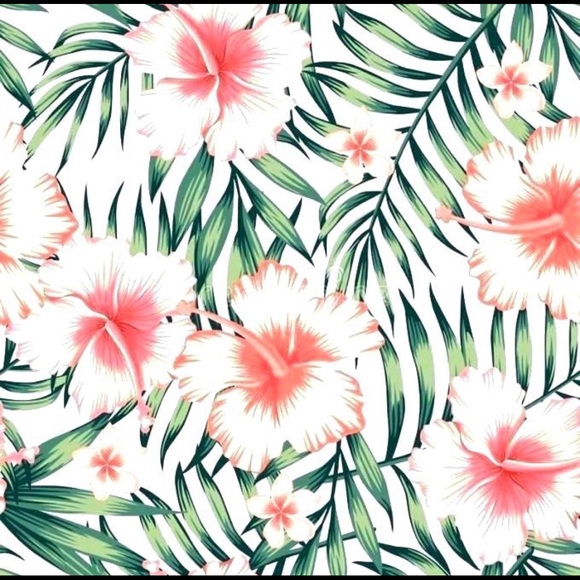 Meet your Posher, Lucia - Picture 1 of 1